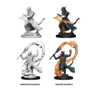 Dungeons & Dragons Nolzurs Marvelous Miniatures Tiefling Sorcerer Male 2021 Dungeons & Dragons Nolzurs Marvelous Miniatures Tiefling Sorcerer Male 2021