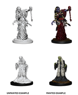 Dungeons & Dragons Nolzurs Marvelous Miniatures Green Hag & Night Hag