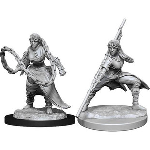 Dungeons & Dragons Nolzurs Marvelous Miniatures Human Monk Female 2021 Dungeons & Dragons Nolzurs Marvelous Miniatures Human Monk Female 2021