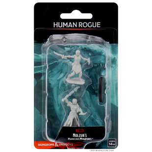 Dungeons & Dragons Nolzurs Marvelous Miniatures Human Rogue Female Dungeons & Dragons Nolzurs Marvelous Miniatures Human Rogue Female