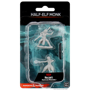 Dungeons & Dragons Nolzurs Marvelous Miniatures Half-Elf Monk Female Dungeons & Dragons Nolzurs Marvelous Miniatures Half-Elf Monk Female