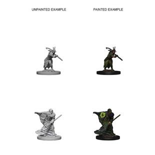 Dungeons & Dragons Nolzurs Marvelous Elf Druid Male Dungeons & Dragons Nolzurs Marvelous Elf Druid Male