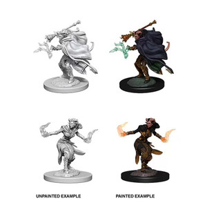 Dungeons & Dragons Nolzurs Marvelous Miniatures Tiefling Warlock Female