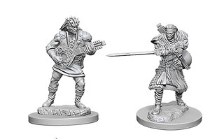 Dungeons & Dragons Nolzurs Marvelous Miniatures Human Bard Male 2