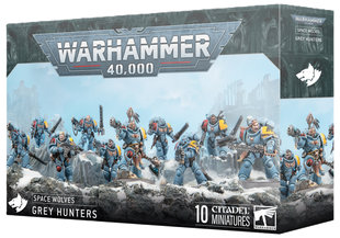 Space Wolves Grey Hunters (2025)