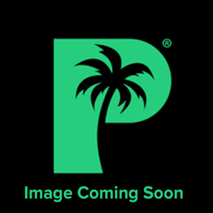 Palms Off Artist Series Mega Capacity 16 Pocket Binder – Starve