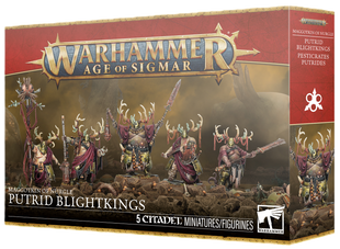 Maggotkin Of Nurgle Putrid Blightkings