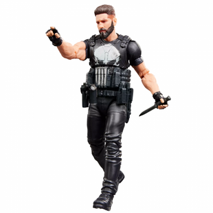 Marvel Legends Series Punisher, The Punisher