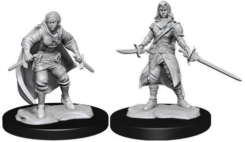 Dungeons & Dragons Nolzurs Marvelous Half-Elf Rogue Female Dungeons & Dragons Nolzurs Marvelous Half-Elf Rogue Female