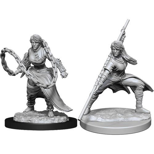Dungeons & Dragons Nolzurs Marvelous Miniatures Human Monk Female 2021 Dungeons & Dragons Nolzurs Marvelous Miniatures Human Monk Female 2021