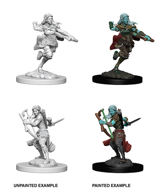 Dungeons & Dragons Nolzurs Marvelous Miniatures Air Genasi Dungeons & Dragons Nolzurs Marvelous Miniatures Air Genasi