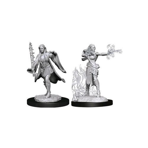 Dungeons & Dragons Nolzurs Marvelous Miniatures Multiclass Warlock + Sorcerer Female Dungeons & Dragons Nolzurs Marvelous Miniatures Multiclass Warlock + Sorcerer Female