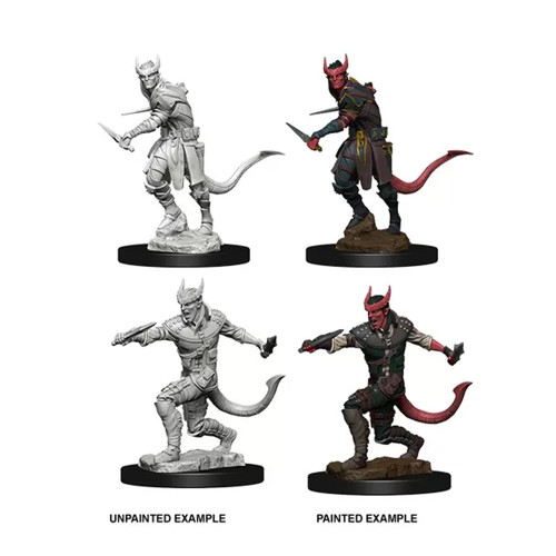 Dungeons & Dragons Nolzurs Marvelous Miniatures Tiefling Rogue Male Dungeons & Dragons Nolzurs Marvelous Miniatures Tiefling Rogue Male