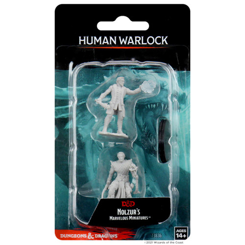 Dungeons & Dragons Nolzurs Marvelous Miniatures Male Human Warlock Dungeons & Dragons Nolzurs Marvelous Miniatures Male Human Warlock