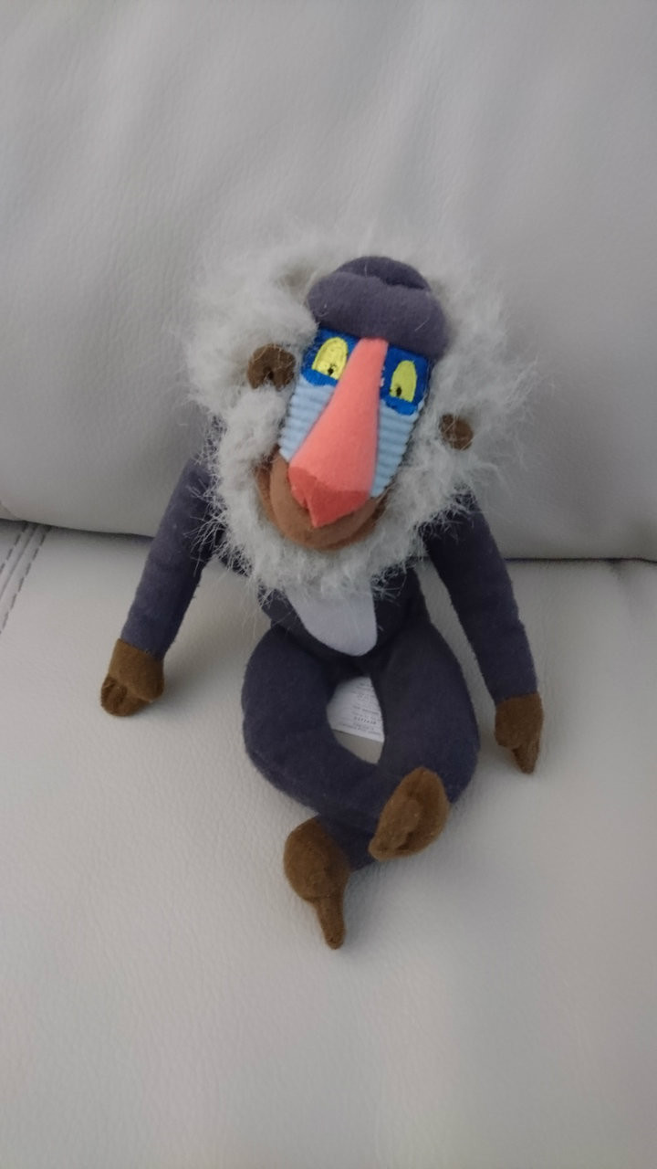 rafiki teddy