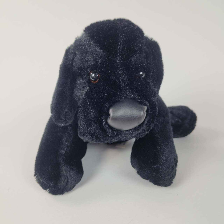 Webkinz discount black dog