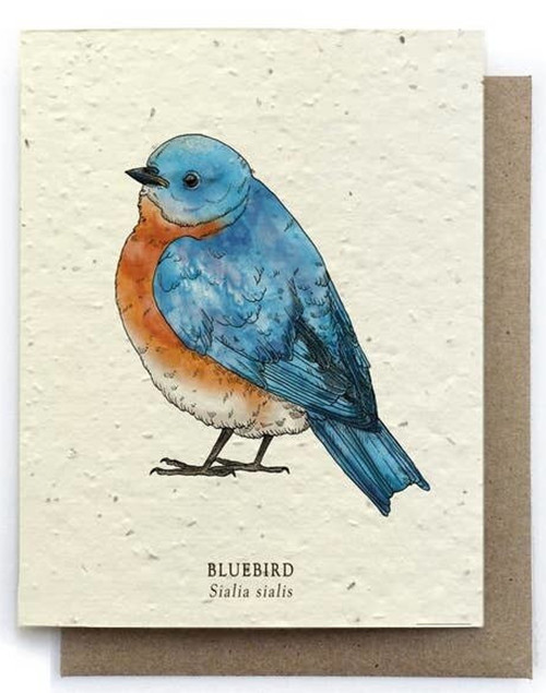 Bluebird Greeting Card