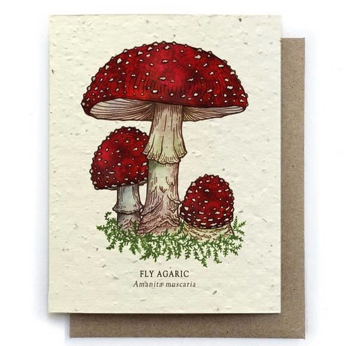 Fly Agaric Mushroom Botanical Greeting Card