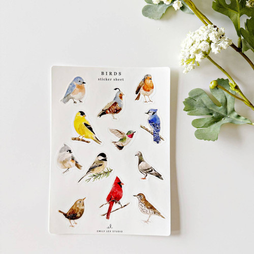Birds Sticker Sheets