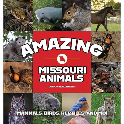 Amazing Missouri Animals