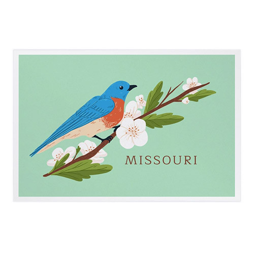 Missouri State Bird and Flower PREMIUM POSTCARDS