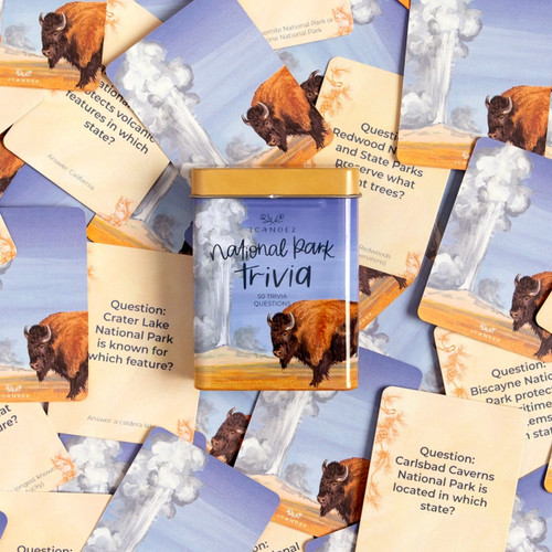National Parks Trivia Card Game + Storage Tin by 1canoe2