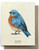 Bluebird Greeting Card