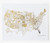 USA State Flower Gold Foil 16 X 20 Print