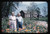 Burford Royston Postcards Set