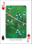 Trees of Midwest Playing Cards
