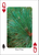 Trees of Midwest Playing Cards