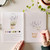 Garden Watercolor Workbook by Emily Lex Studio