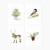 Evergreen Christmas Assorted Notecard Set