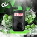 Rodman 9100 Disposable - Cool Mint