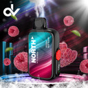 North FT12000 15ML 12000 Puffs Disposable - Frozen Raspberry Lemonade