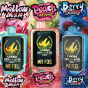 MR FOG Nova 36K Disposable