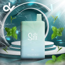 Sili Box Turbo Hit 6000 Disposable - Mighty Mint