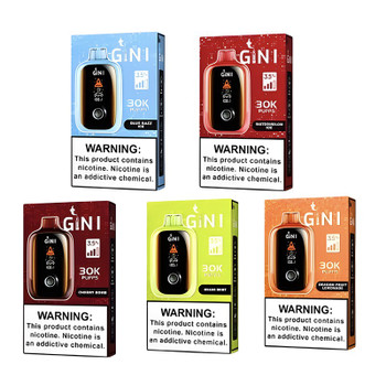 GINI GN30000 Disposable Vape: 30K Puffs & Bold Flavors