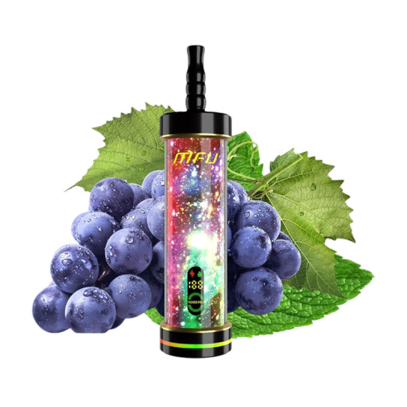 MFU Shisha X2 60K - Grape Mint