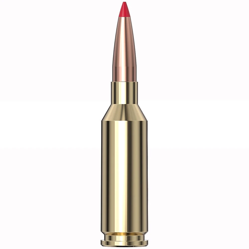 Hornady Precision Hunter .22 ARC 80gr Ammunition w/ELD-X Bullets (20/Box) 81544