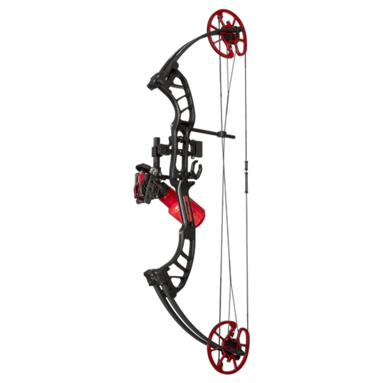 Cajun Shore Runner EVW RH50 Black/Red Bowfishing Bow Kit ABF23B1205R