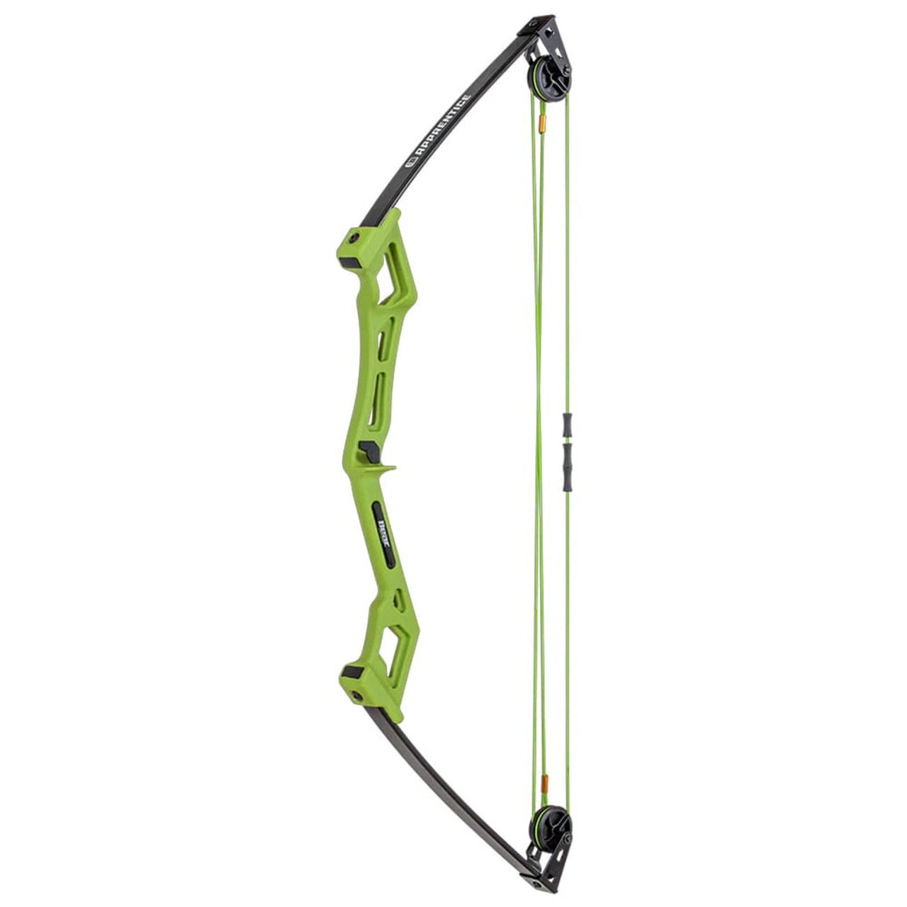 Bear Apprentice RH Green Bow AYS6001GR