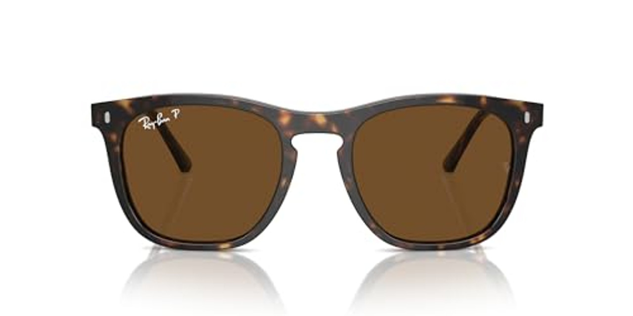 Ray-Ban  Havana Polar Brown 0RB2210-9025753