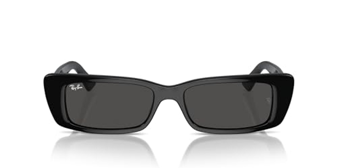 Ray-Ban Teru Black Dark Grey 0RB4425-66778754