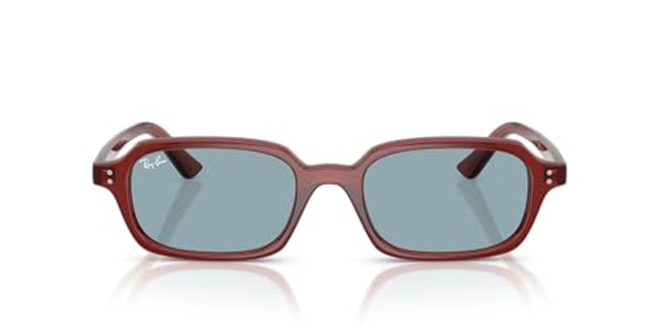 Ray-Ban  ROSTY Brown Blue 0RB4455-68098049