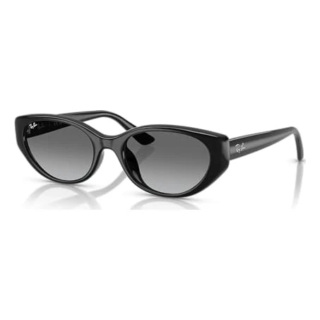 Ray-Ban  Black Grey Gradient 0RB4457D-66771155