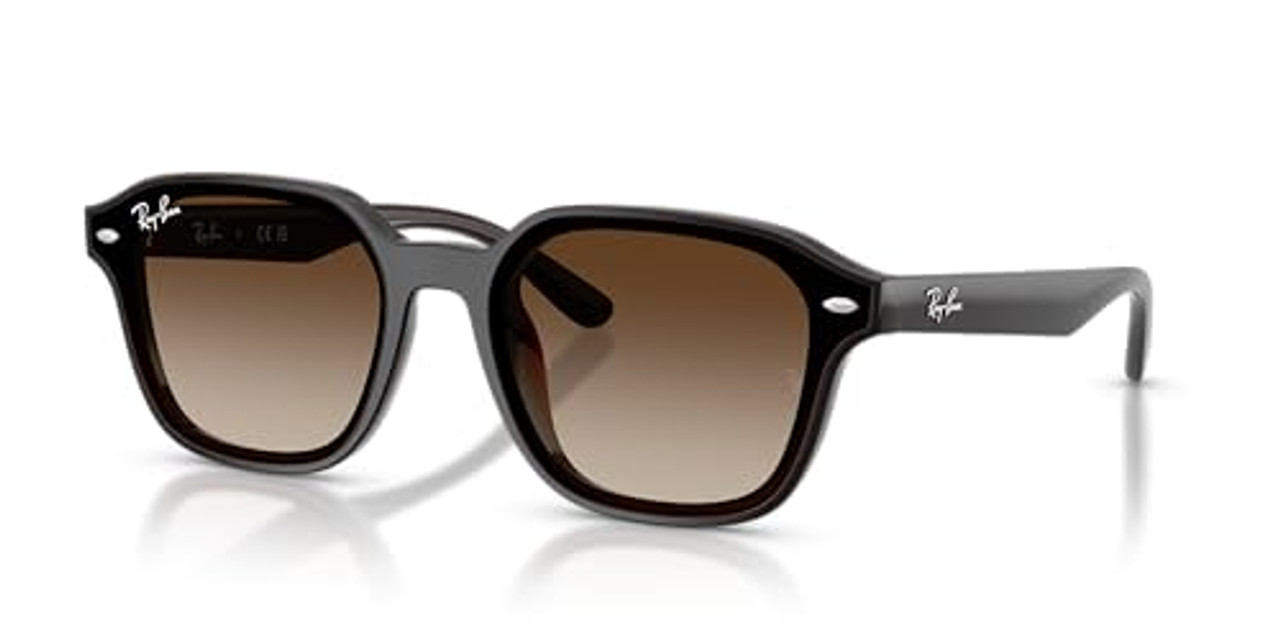 Ray-Ban  Transparent Dark Brown Gradient Brown 0RB4458D-7141365