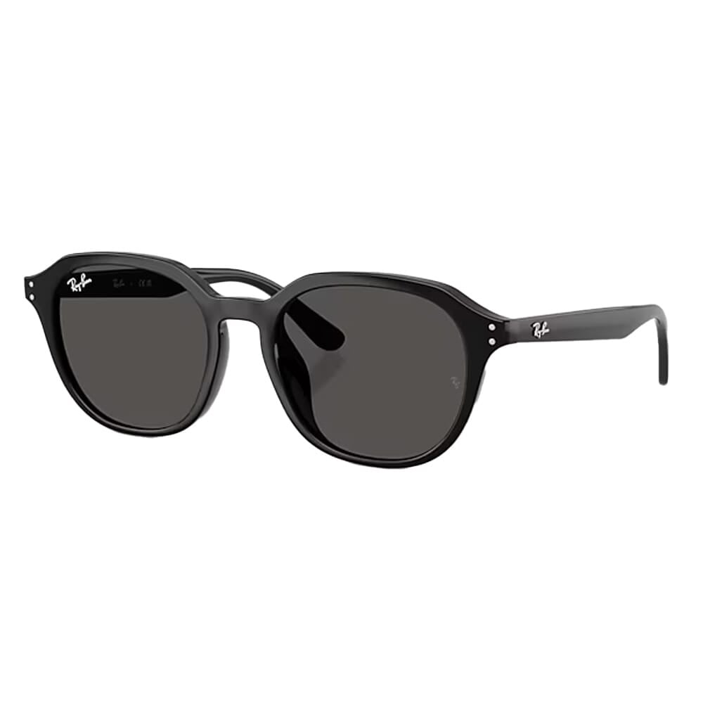 Ray-Ban  Black Dark Grey 0RB4459D-9018754
