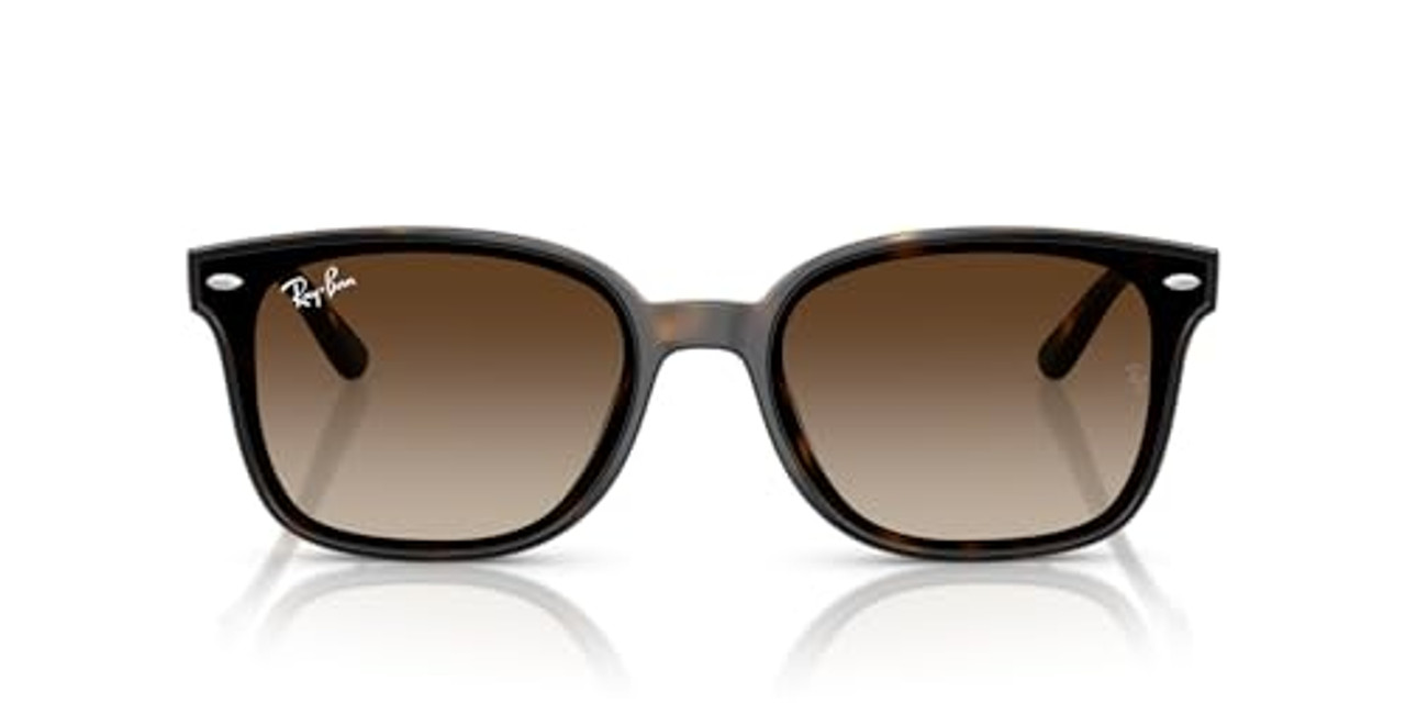 Ray-Ban  Havana Gradient Brown 0RB4461D-7101364