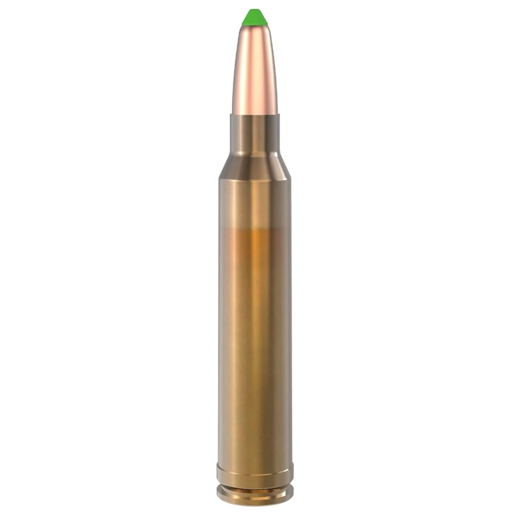 Lapua .300 Winchester Magnum 170gr Naturalis Solid Ammo Box of 10 N317204